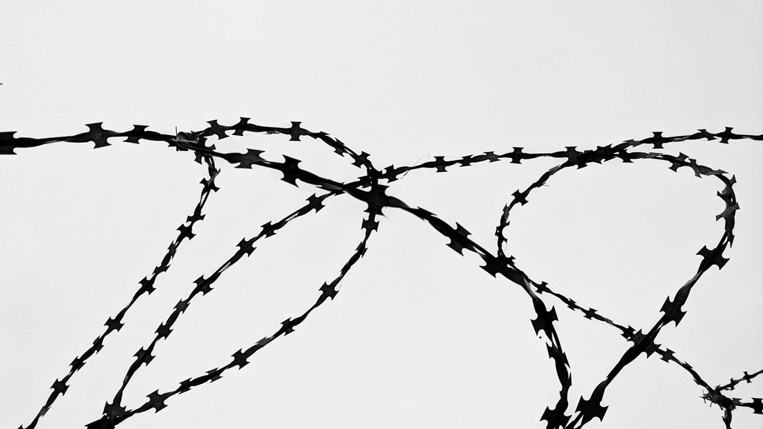 Imparare a stabilire confini | Counselor Torino